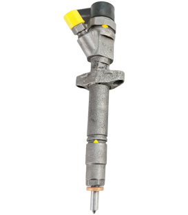 Injecteur pour volvo xc70 2 2.4 D / D4 AWD 163 cv - 0445110298 - Bosch